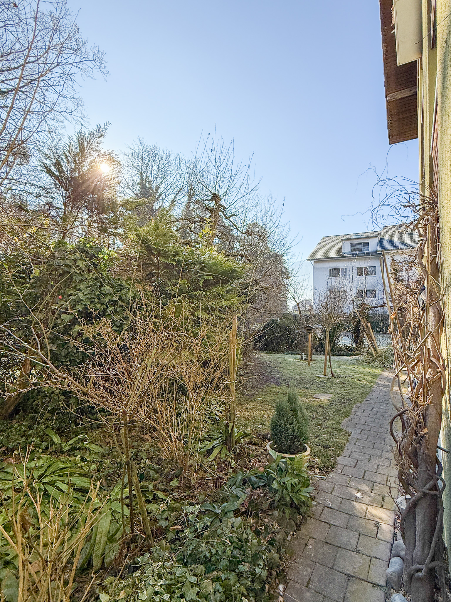 Garten und Nachbargebäude bei Sonnenschein