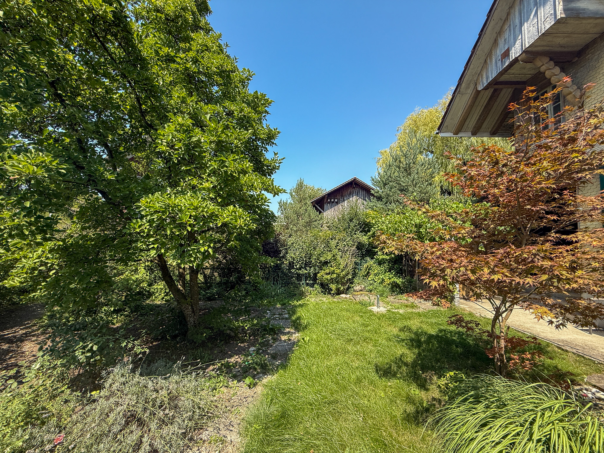 Üppiger Garten mit Hausansicht