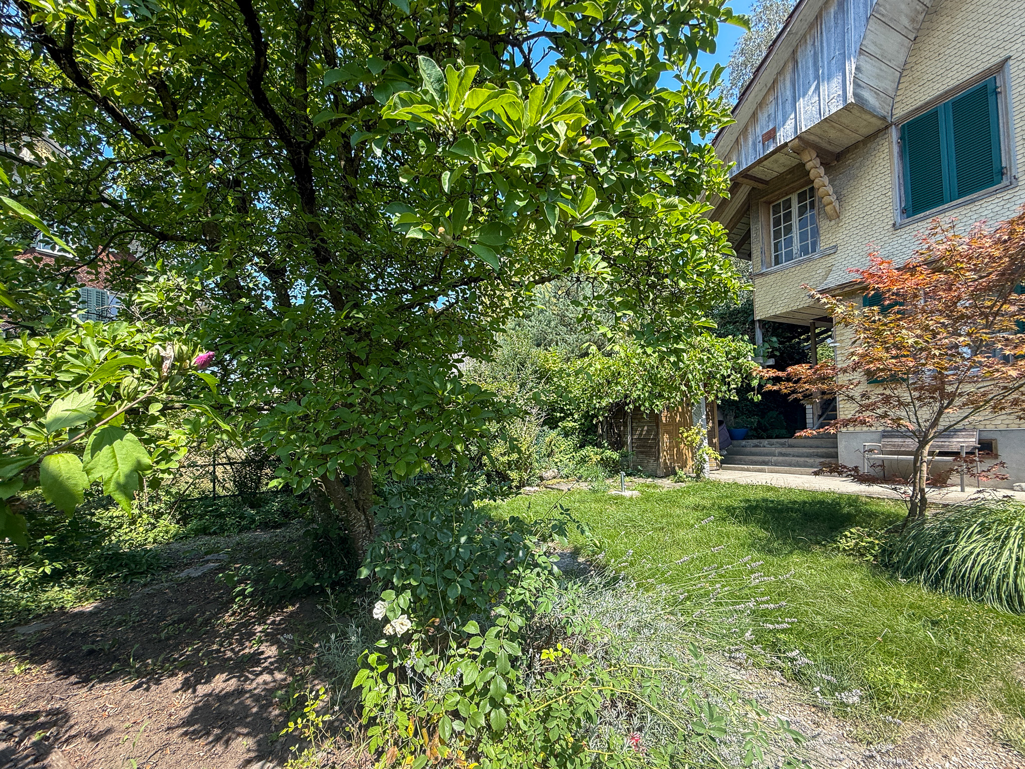 Gartenansicht eines Wohnhauses mit üppiger Bepflanzung