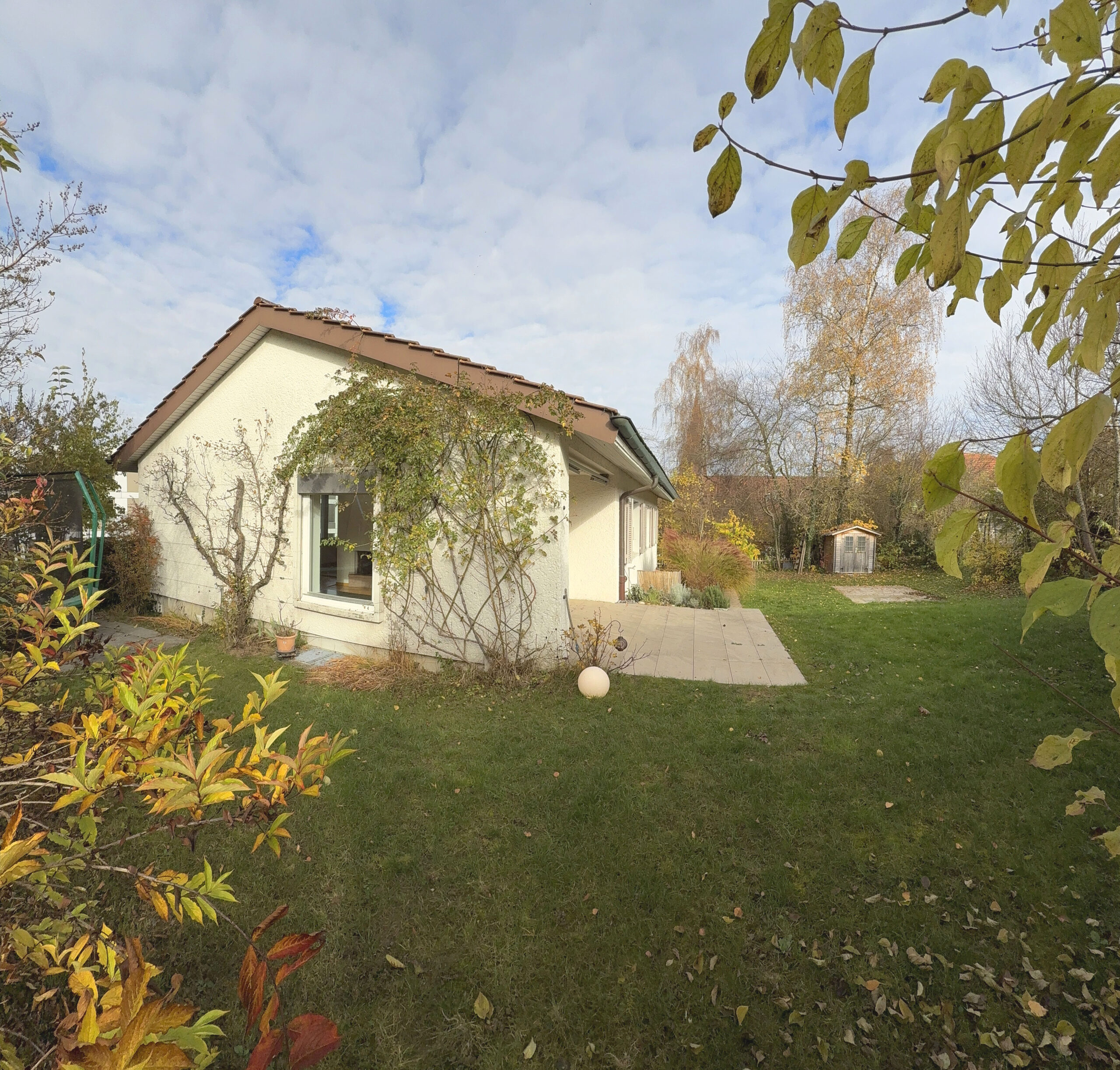 Einfamilienhaus mit Garten