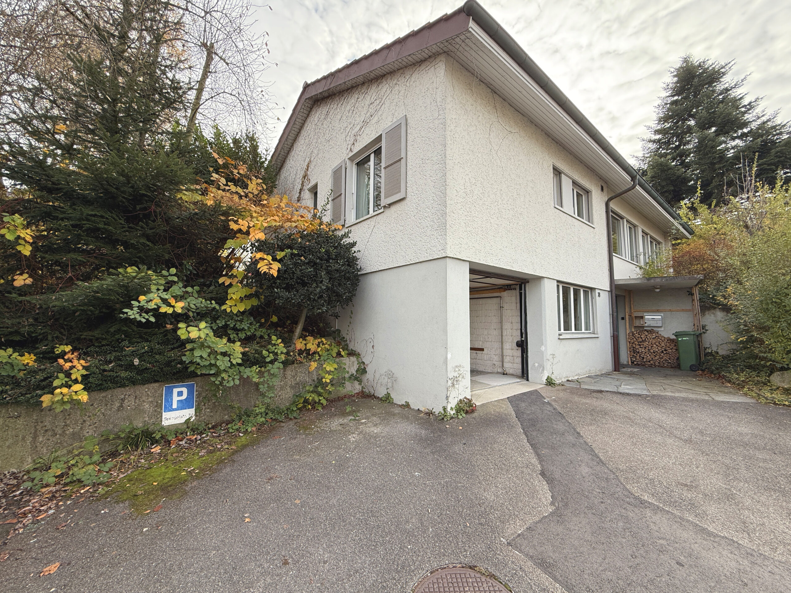 Außenansicht eines Einfamilienhauses mit Zufahrt und Garten