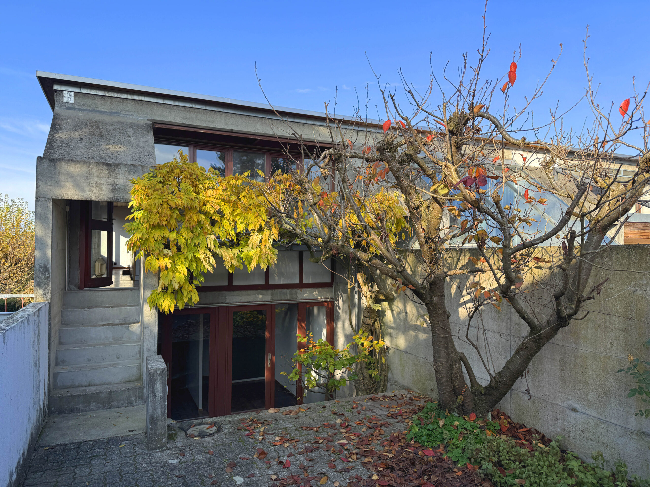 Modernes Betonhaus mit Innenhof und Herbstbepflanzung
