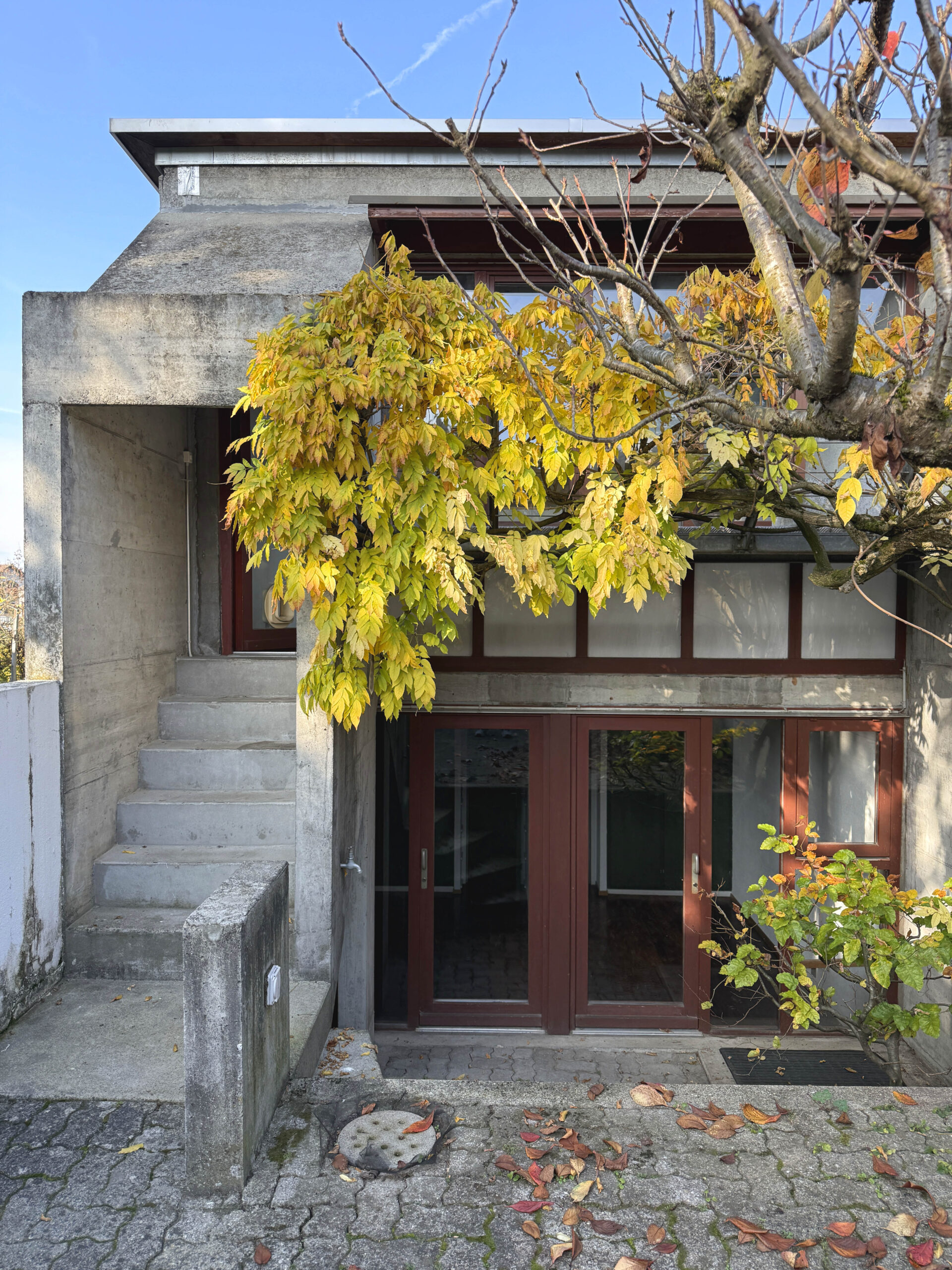 Betonfassade mit Eingangsbereich und Herbstbepflanzung