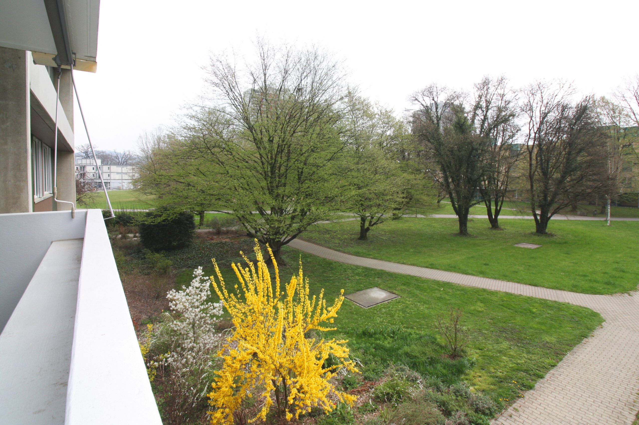 Blick vom Balkon auf Grünanlage