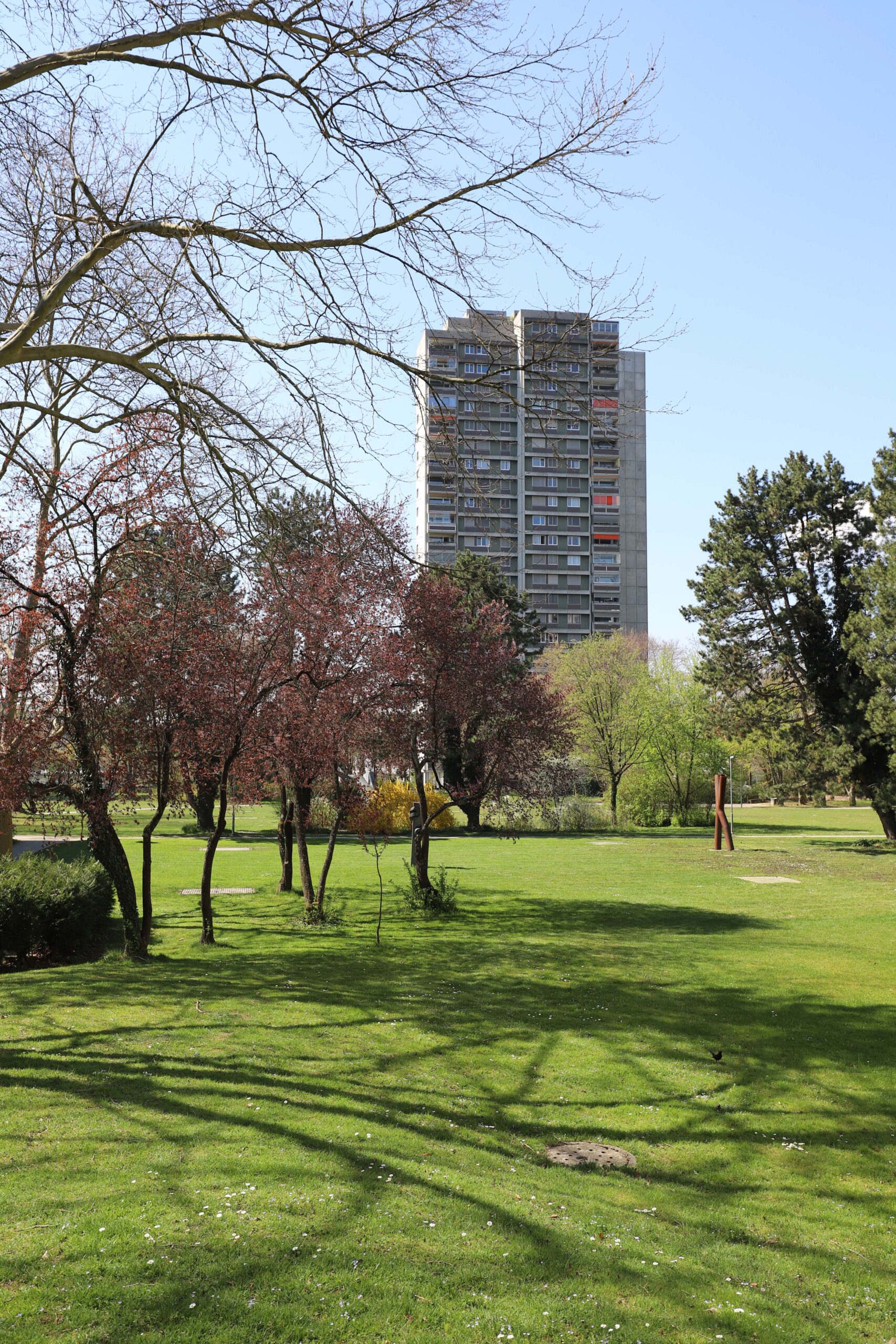 Städtische Parkanlage mit Hochhaus im Hintergrund