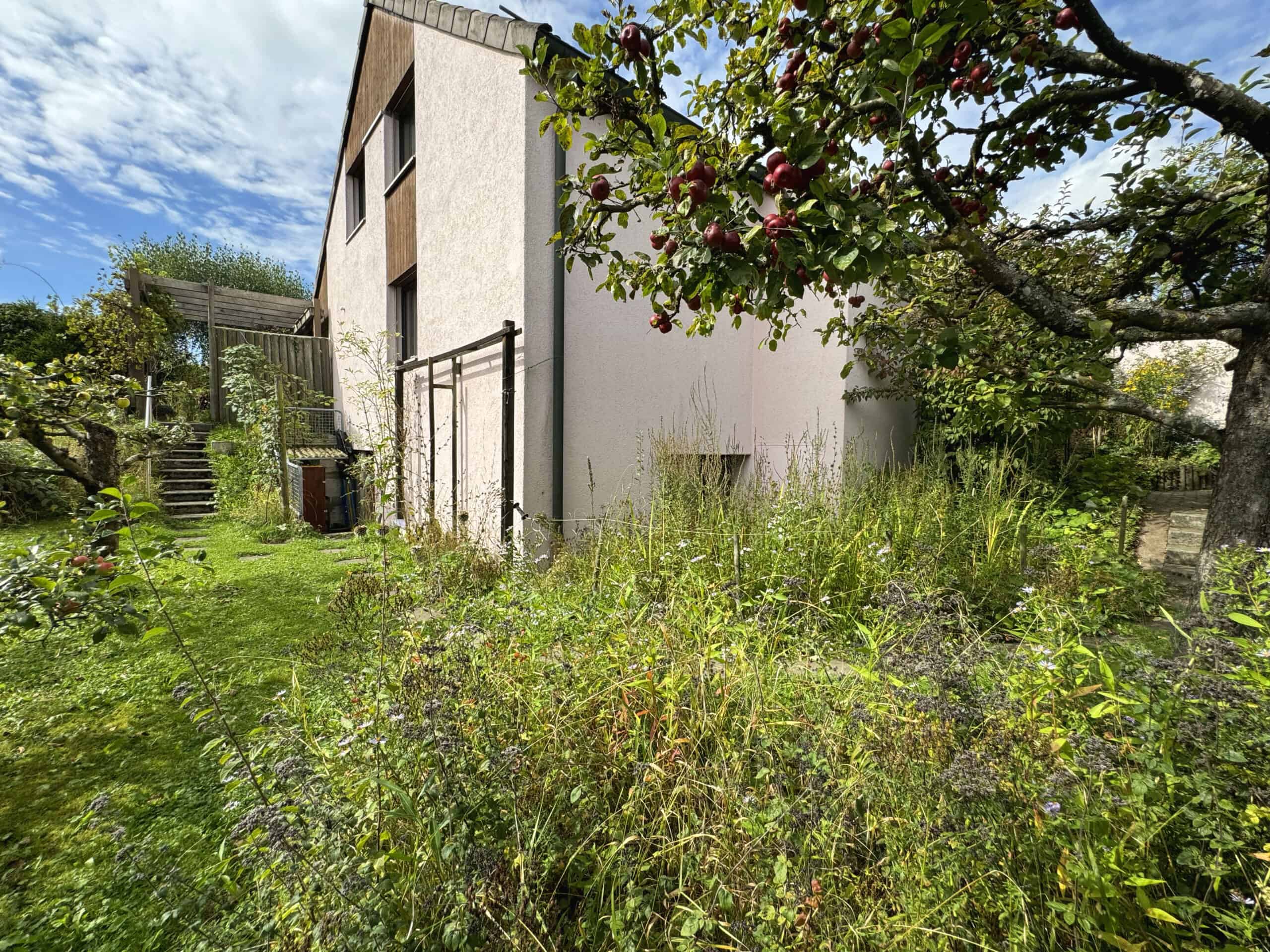 Gartenansicht eines modernen Hauses mit Obstbaum und wilder Bepflanzung