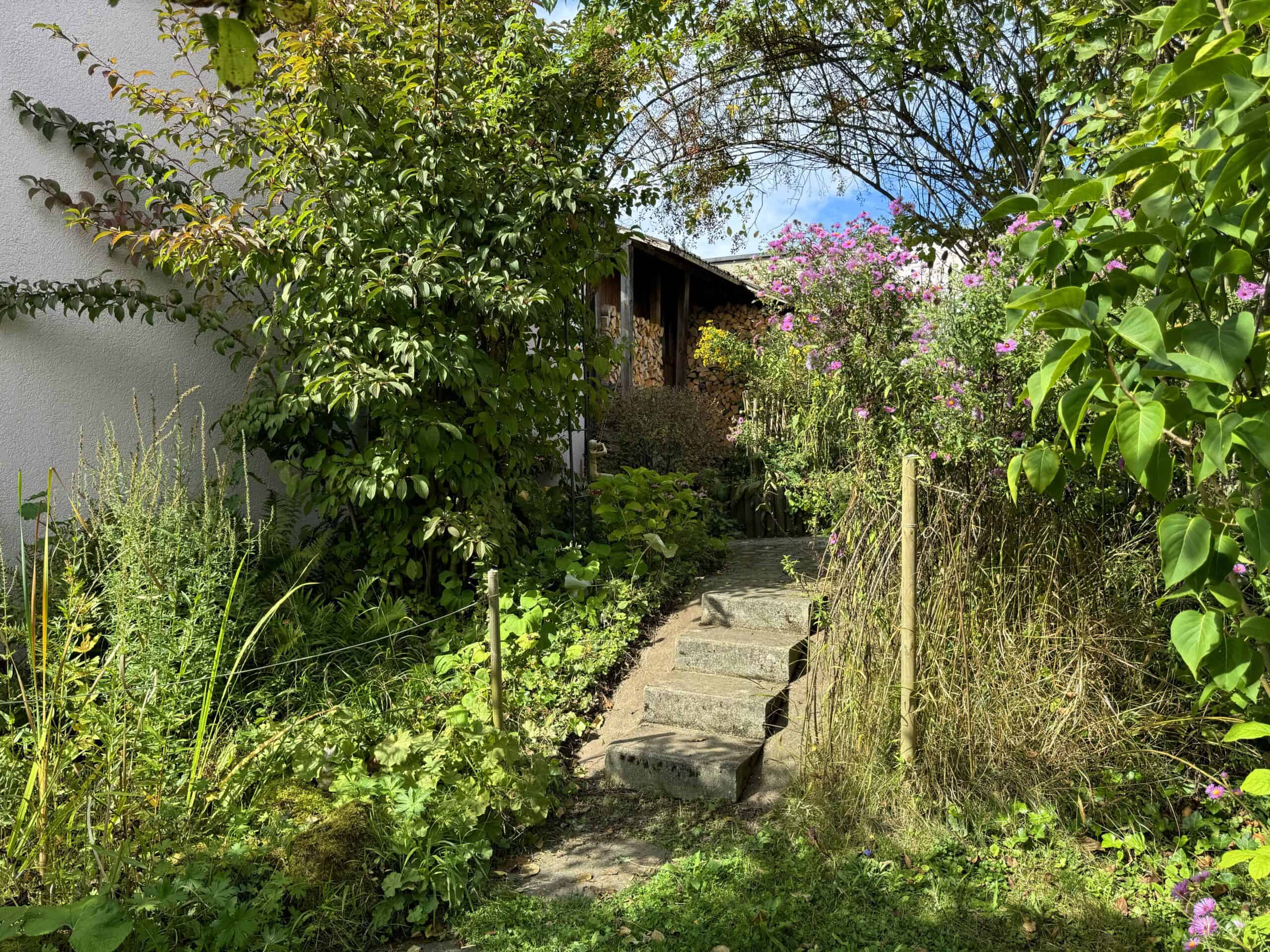 Üppiger Gartenweg zum Gebäude