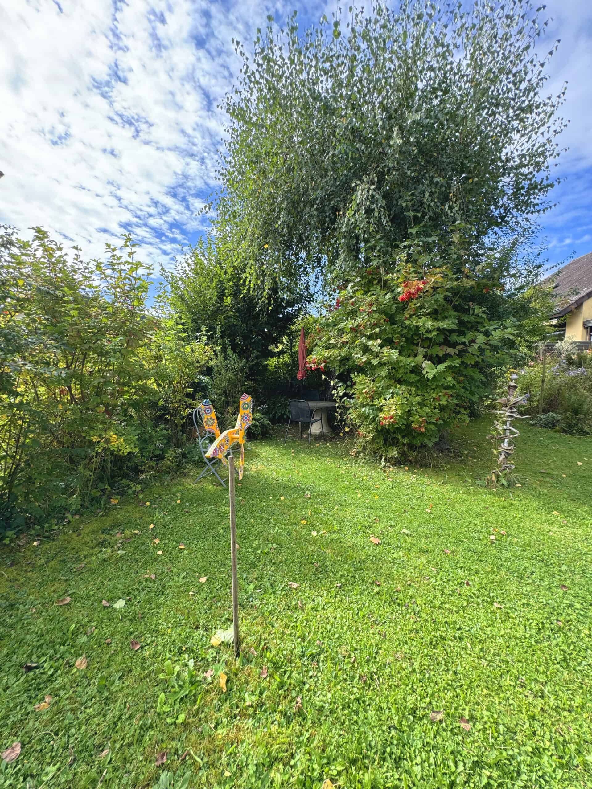 Garten mit dichter Bepflanzung und Rasenfläche
