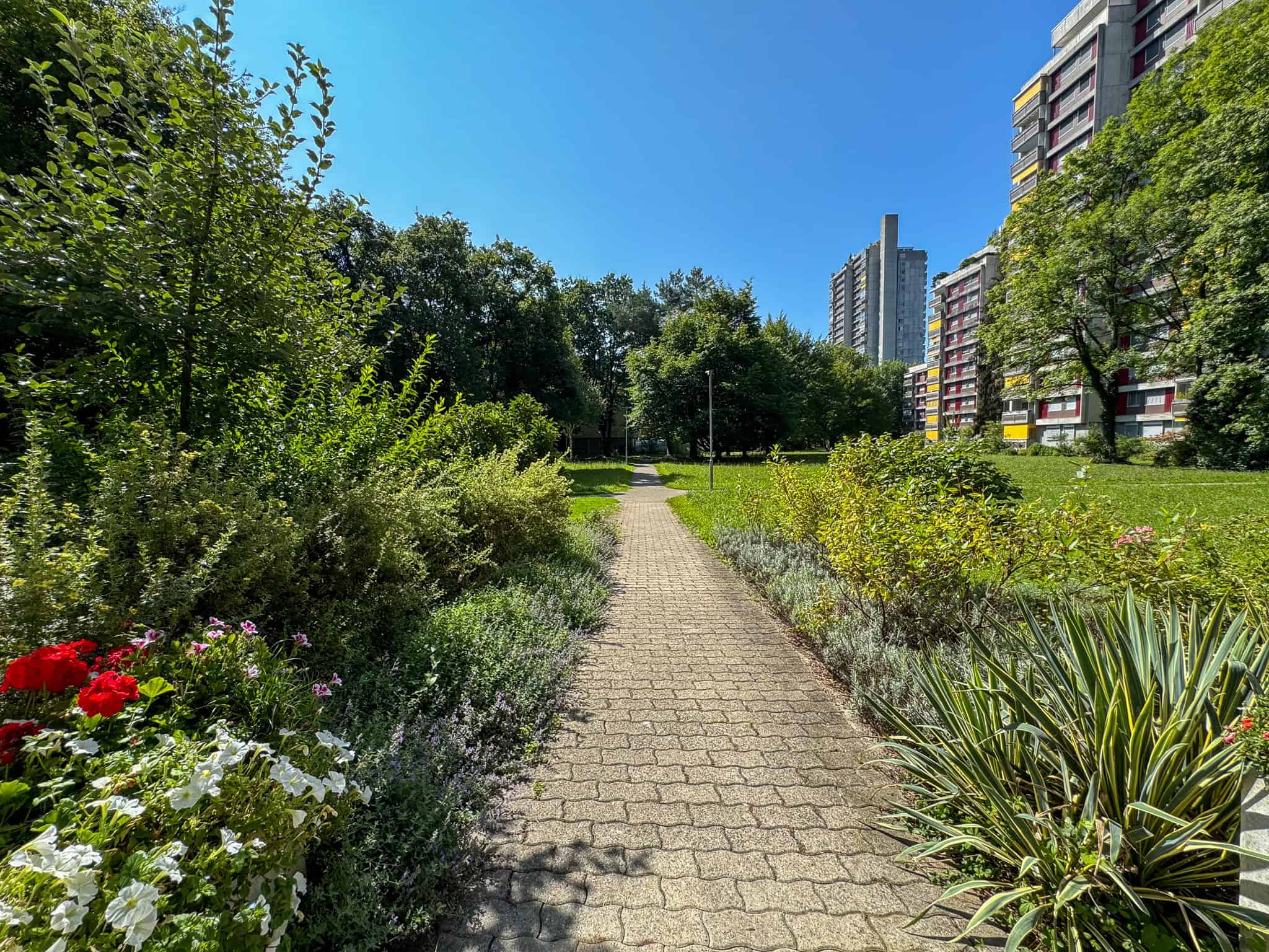Wohnanlage mit Grünfläche und Gehweg