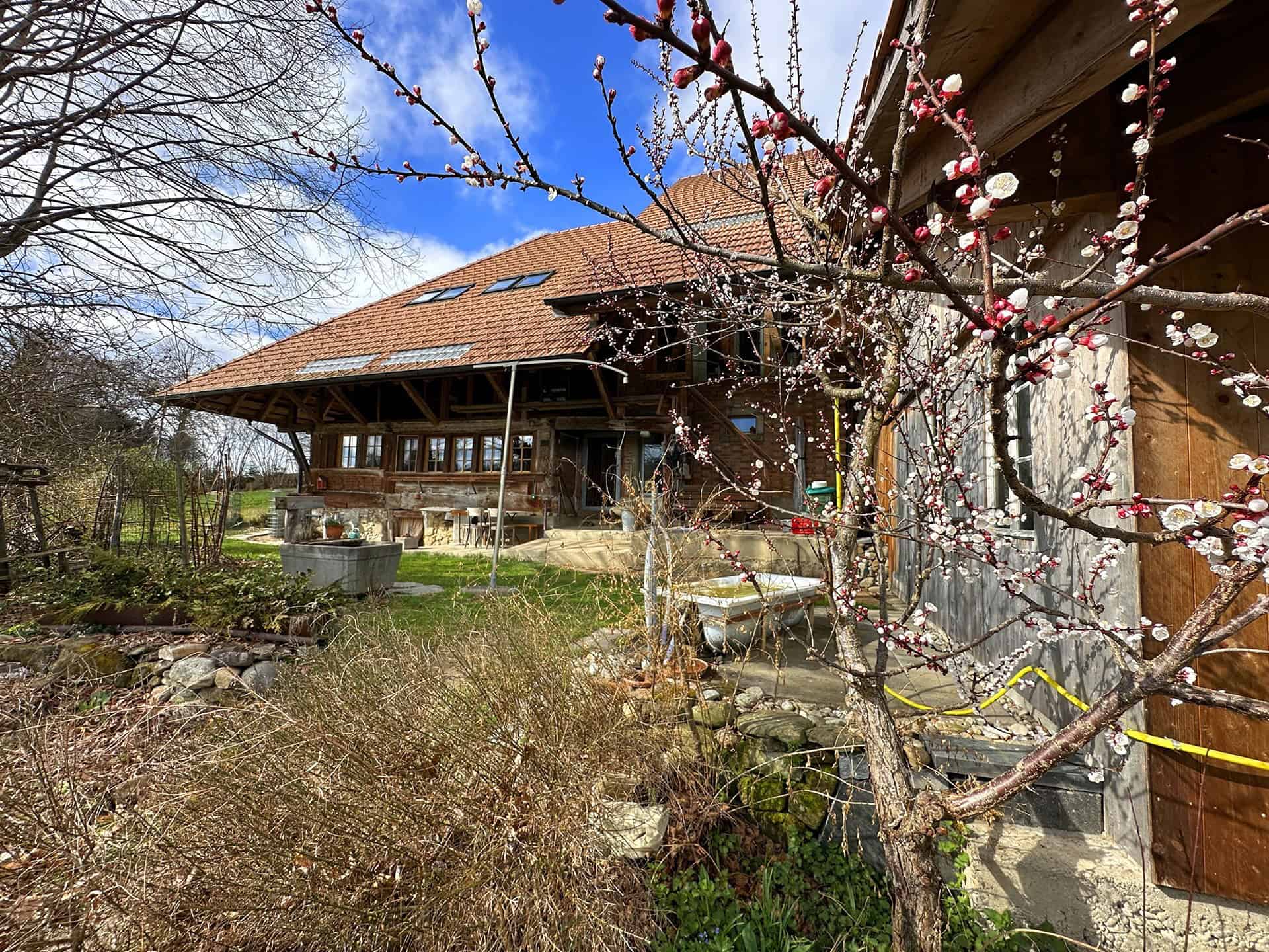 Ländliches Holzhaus mit großem Satteldach und Garten