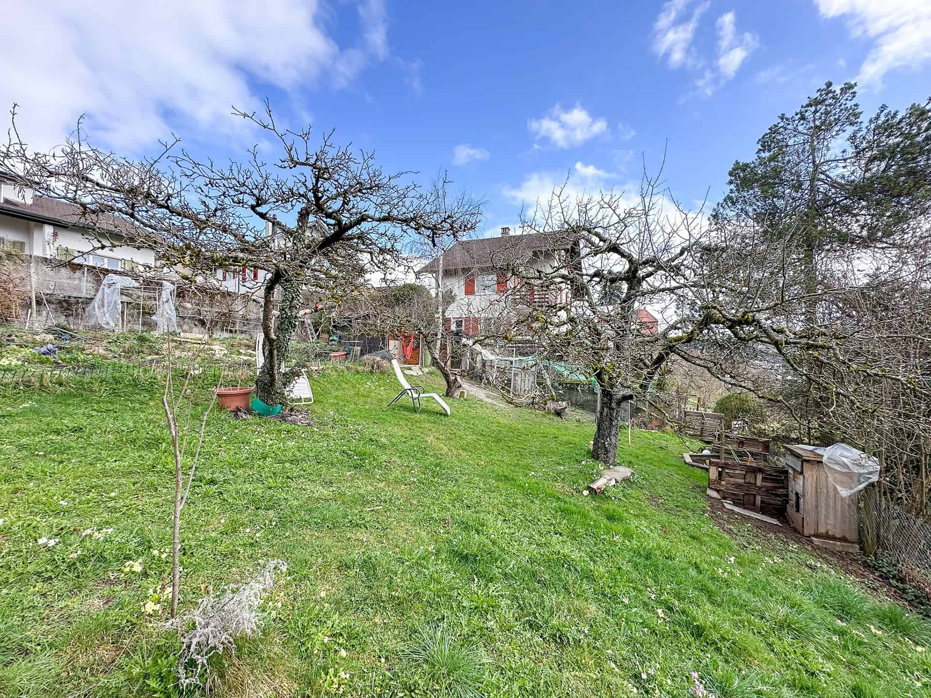 Großer Garten mit Obstbäumen