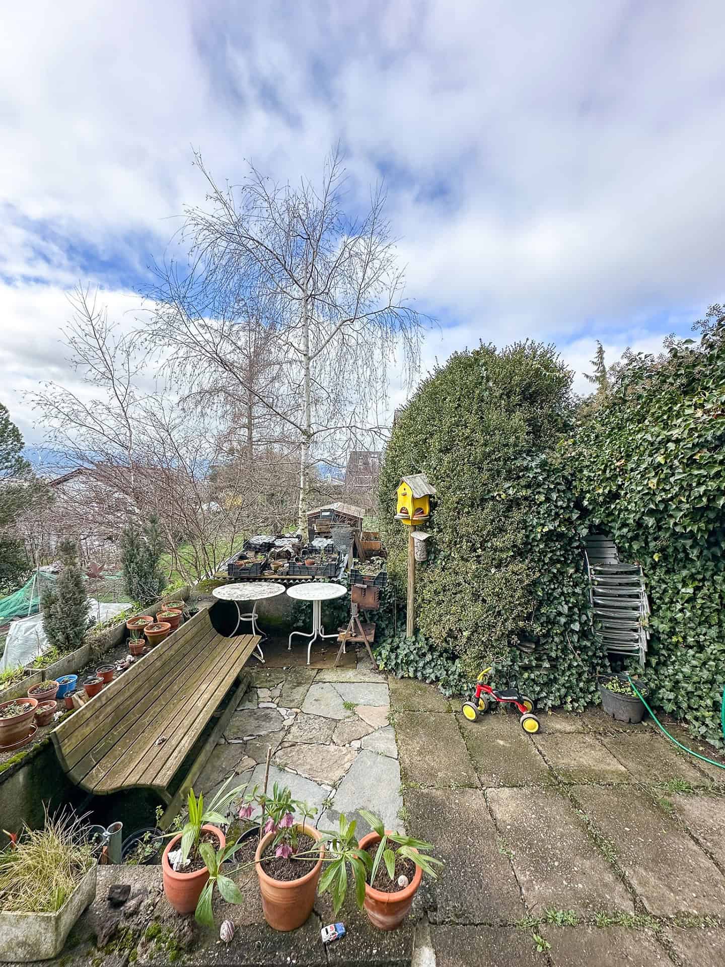 Terrasse mit Gartenmöbeln und viel Begrünung