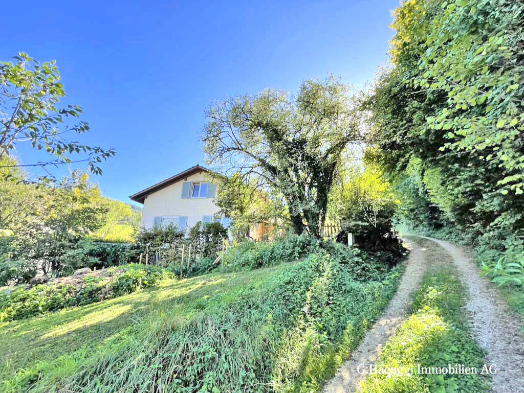 Haus mit großem Garten und Zufahrtsweg
