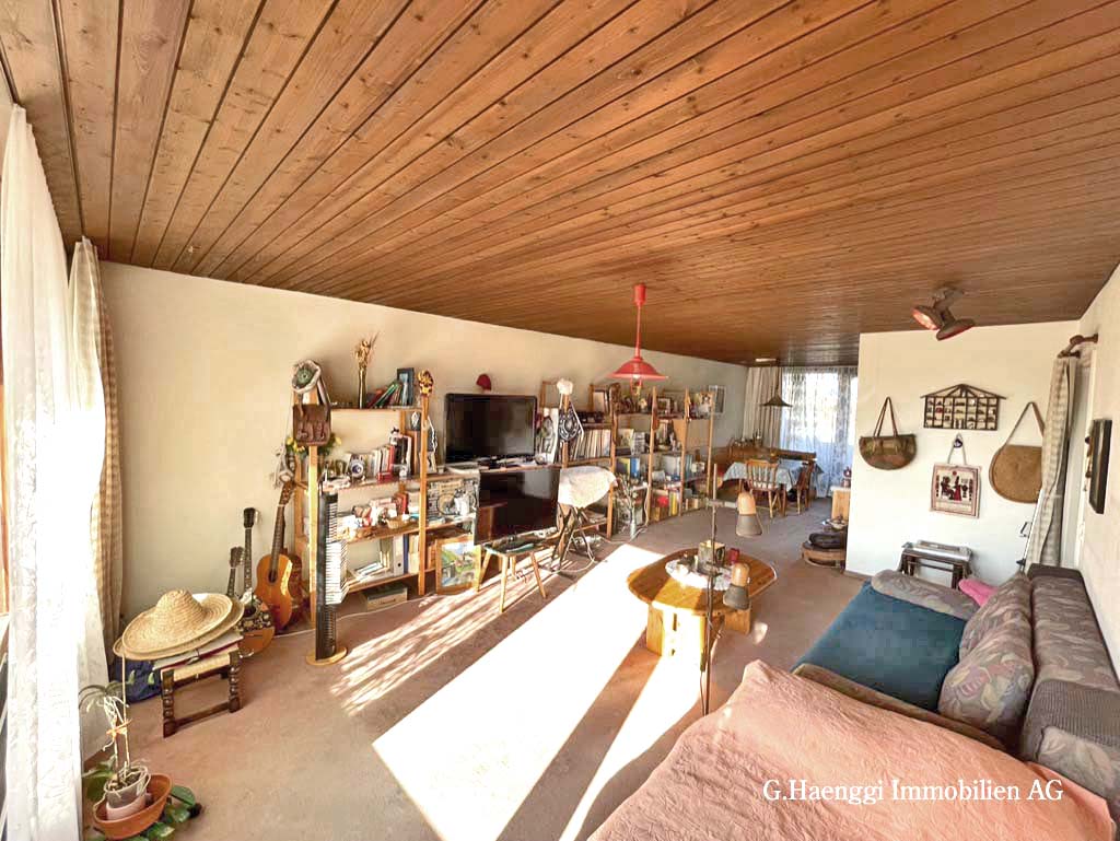Wohnzimmer mit Holzdecke und langem Raumverlauf