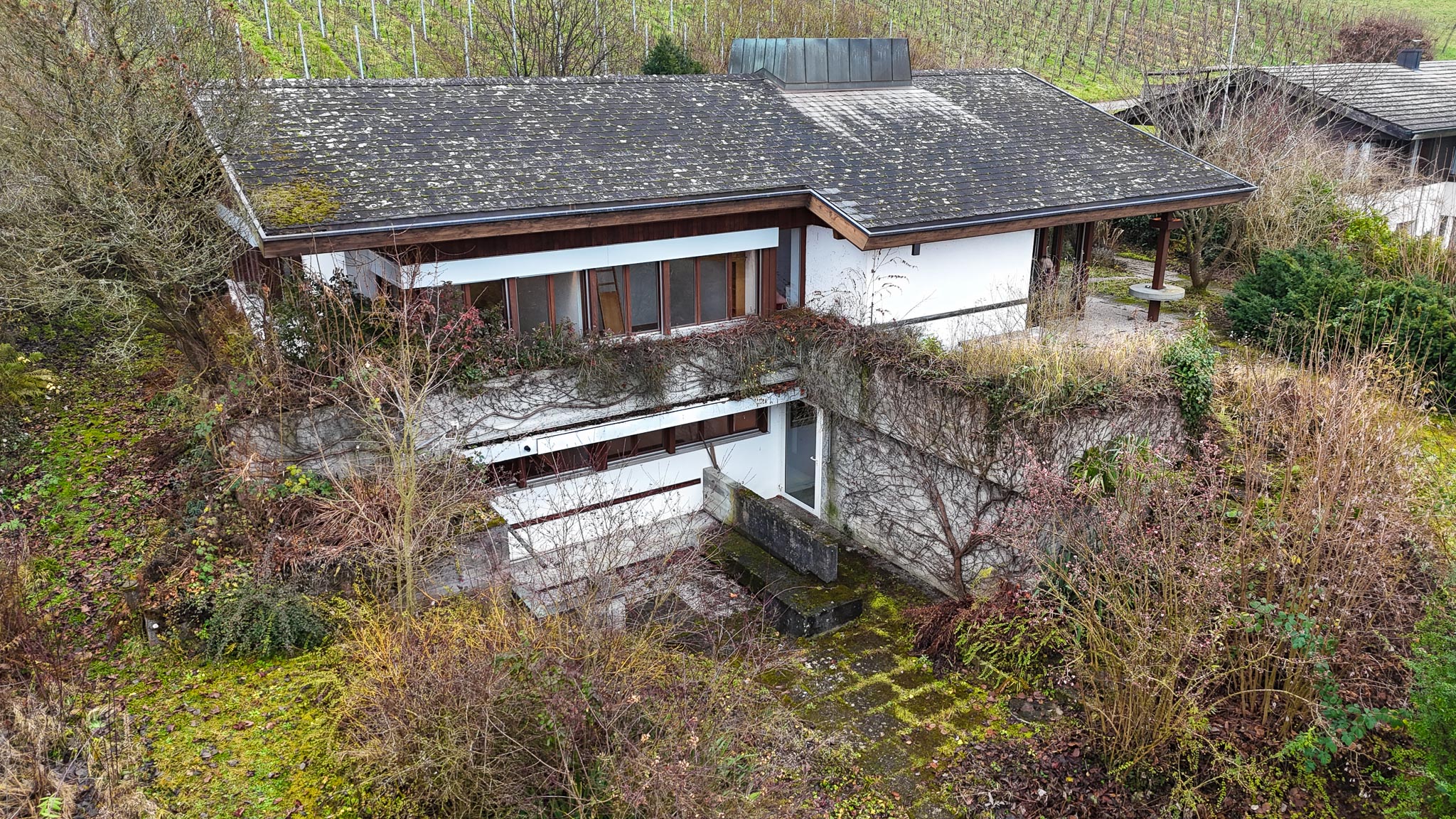 Bewachsenes Wohnhaus mit flachem Dach