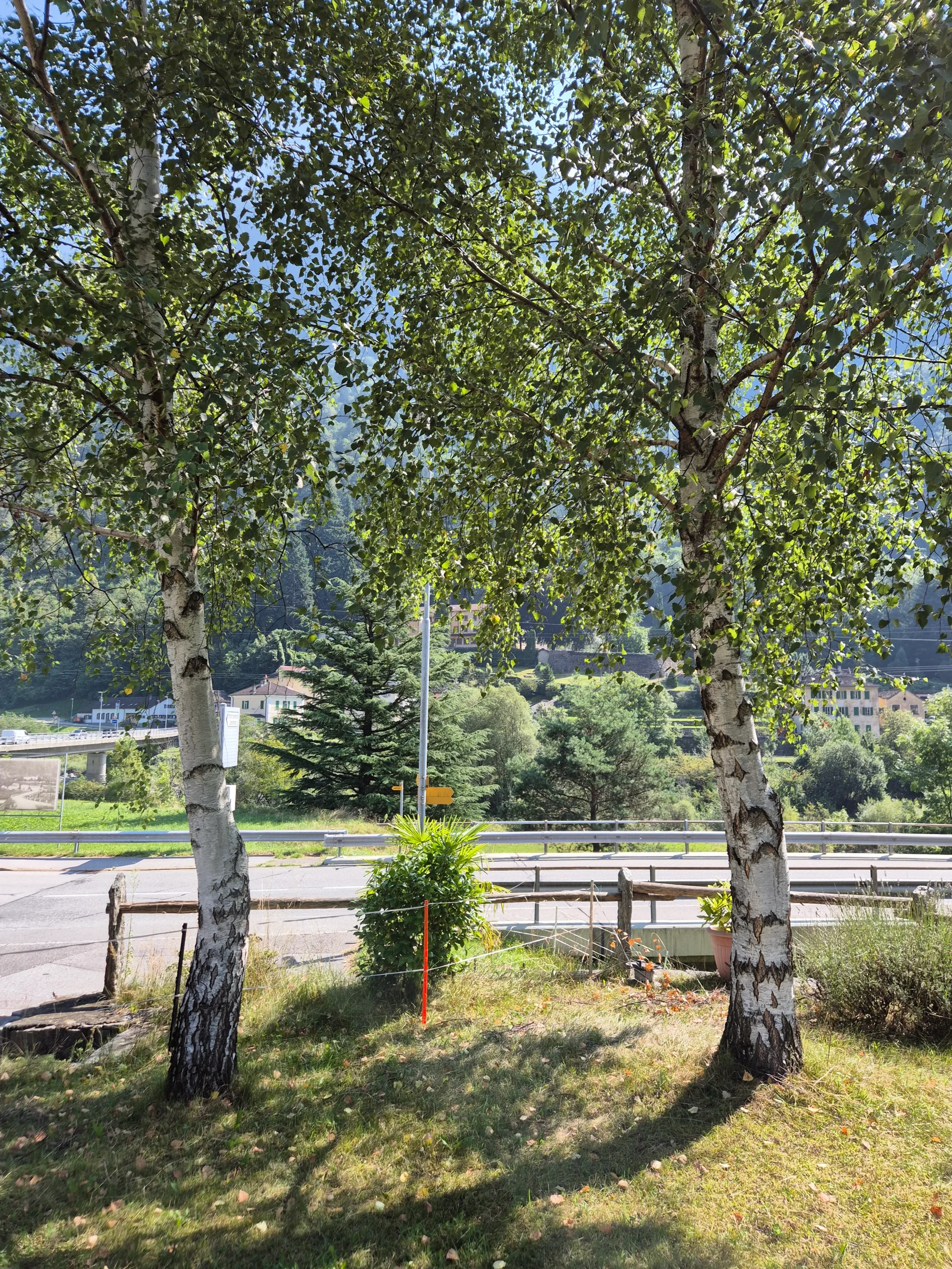 Landschaft mit Straßenrand und Bergen