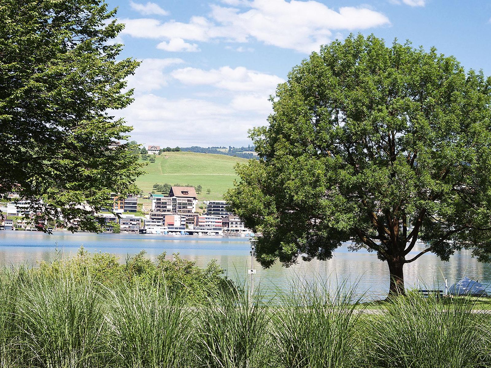Seeblick mit Ufer, Bäumen und Wohnbebauung