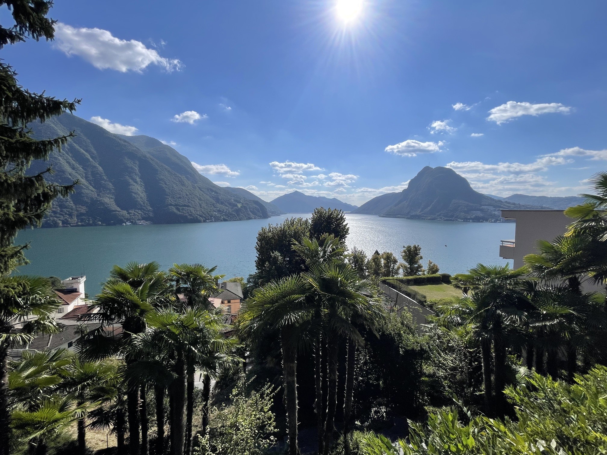 Seeblick mit Bergen und Palmen