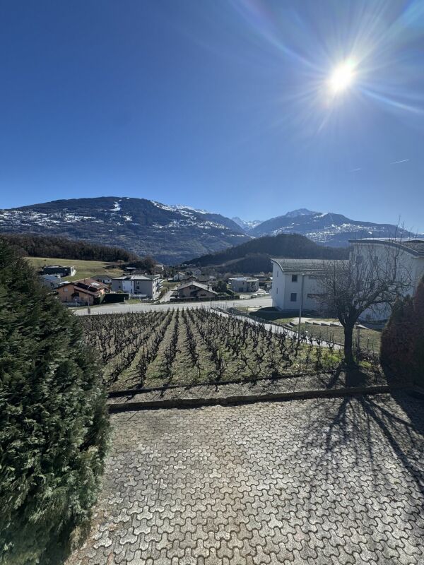 Bergblick über Garten und Wohnumgebung