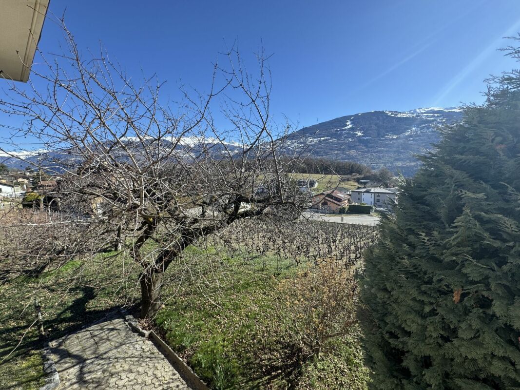 Bergblick aus dem Garten