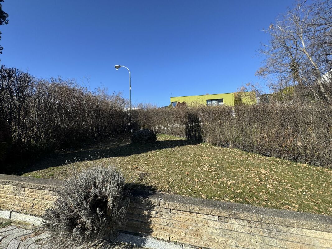 Garten mit Hecke und Wohnhaus