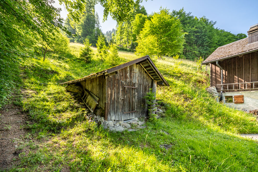 Almhütte am Hang mit Nebengebäude