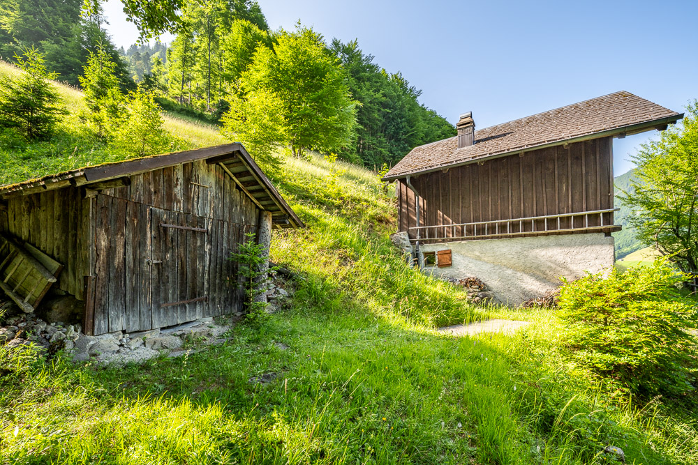 Almhütte im Grünen