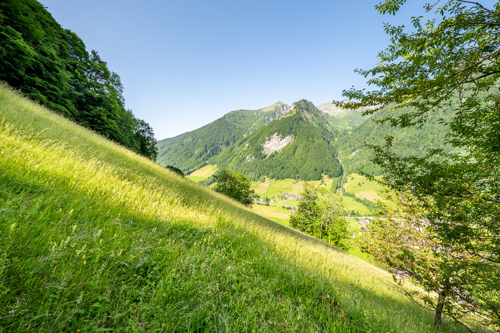 Alpenhang mit Tal- und Bergblick