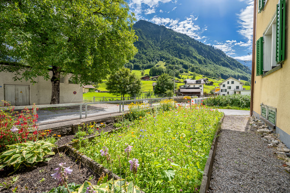 Dorfstraße mit Garten und Bergblick