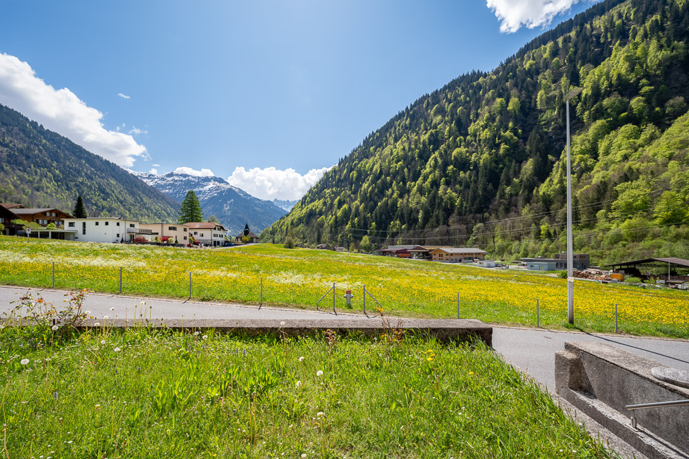 Alpine Landschaft mit Wiese und Bergpanorama