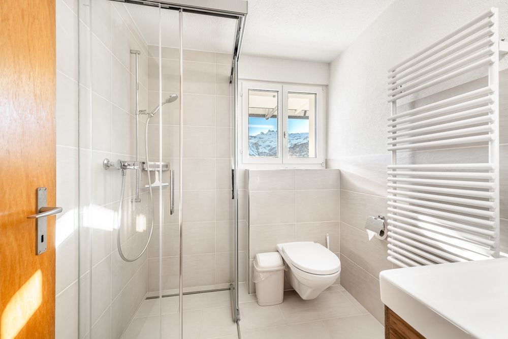 Modernes Badezimmer mit Dusche, WC und Handtuchheizkörper