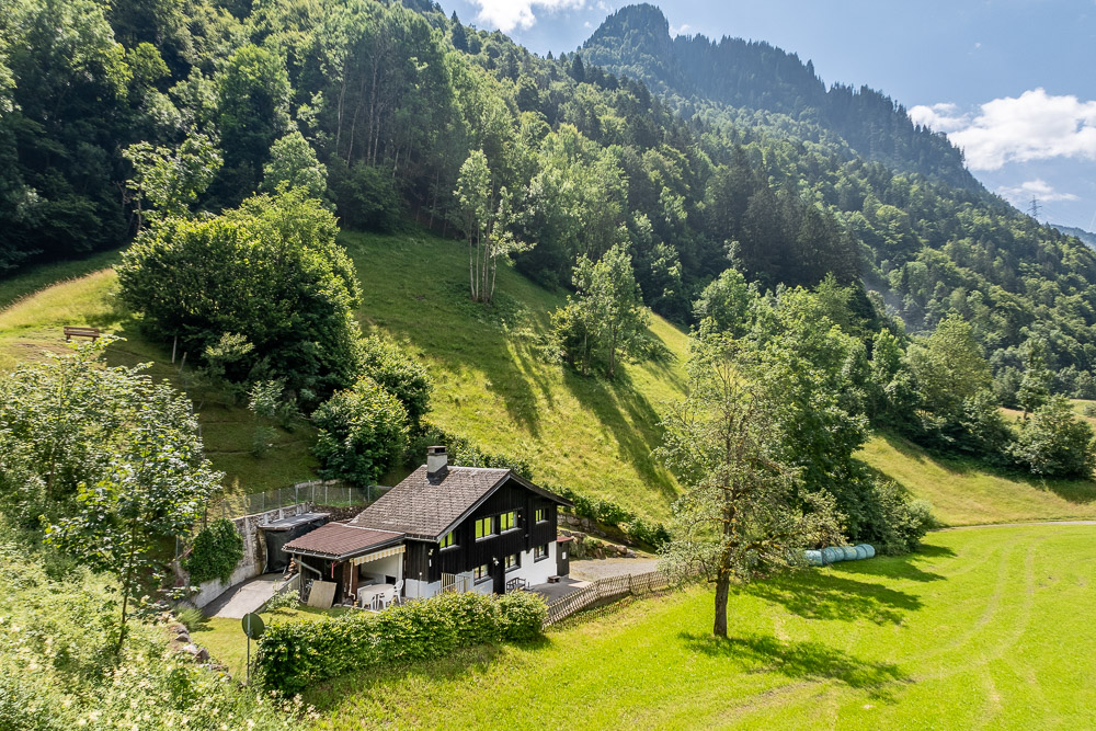 Alpenhaus in grüner Hanglage