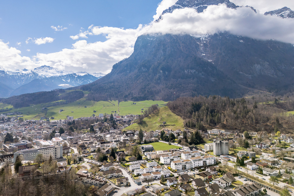 Stadt und Alpenpanorama
