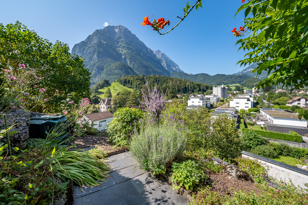 Bergblick über einen Garten mit alpiner Kulisse