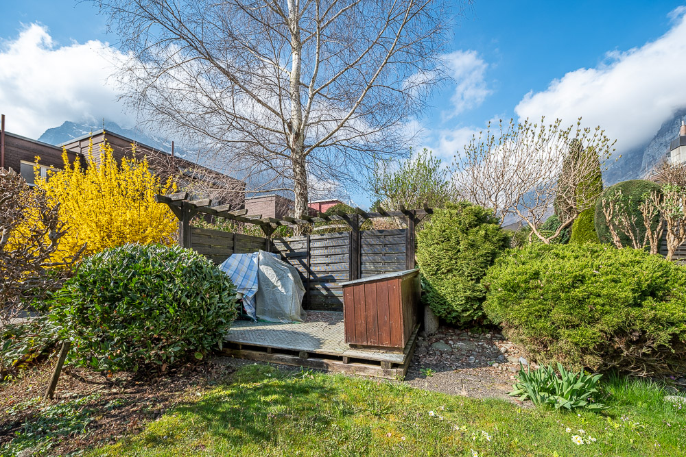 Garten mit Terrasse und Pergola