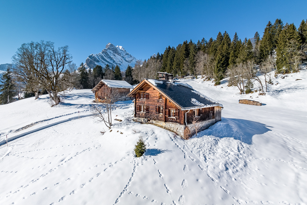 Alpine Holzchalets im Schnee