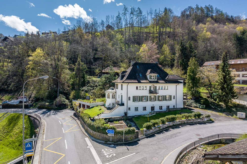 Historische Villa am Hang