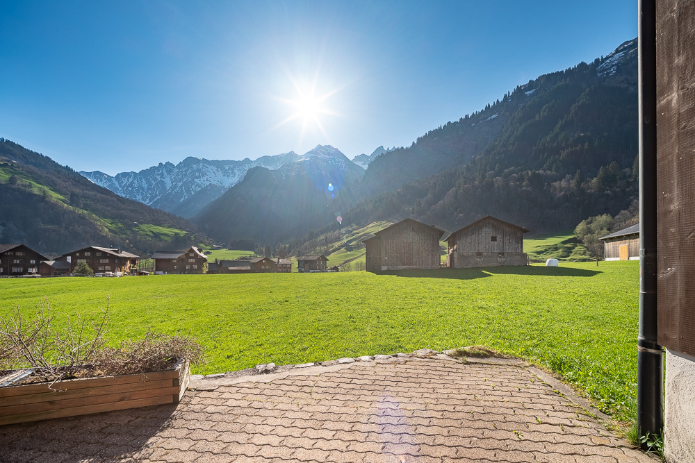 Alpenblick über Wiese
