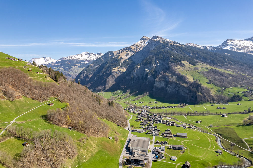 Alpenpanorama mit Talort