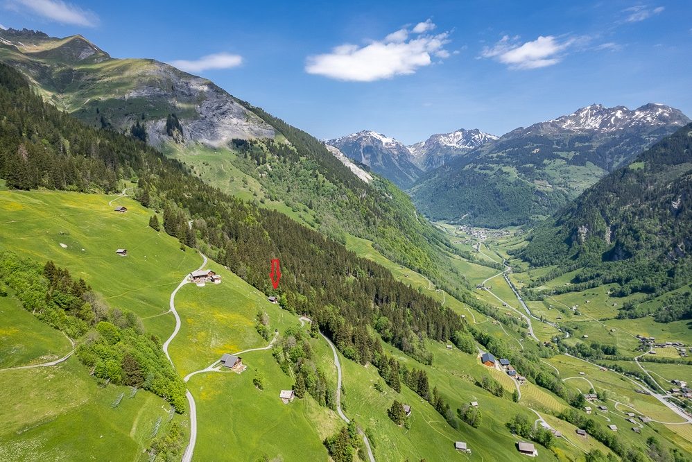 Alpenpanorama mit Talblick