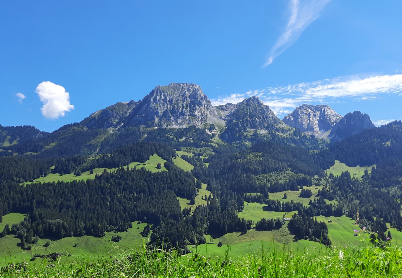Alpenpanorama mit Bergkamm und grünen Almwiesen