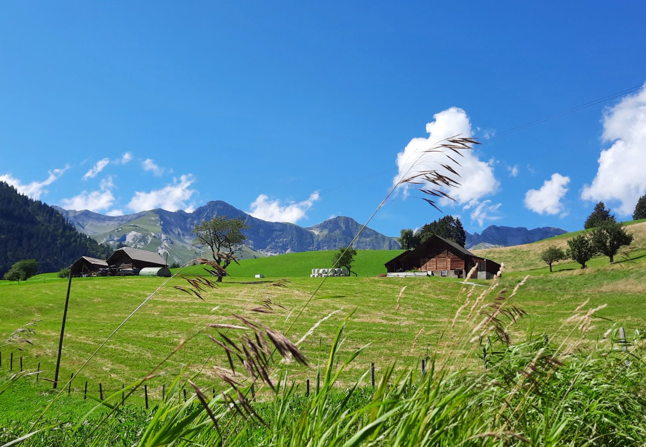 Alpine Wiese mit Hütten und Bergblick
