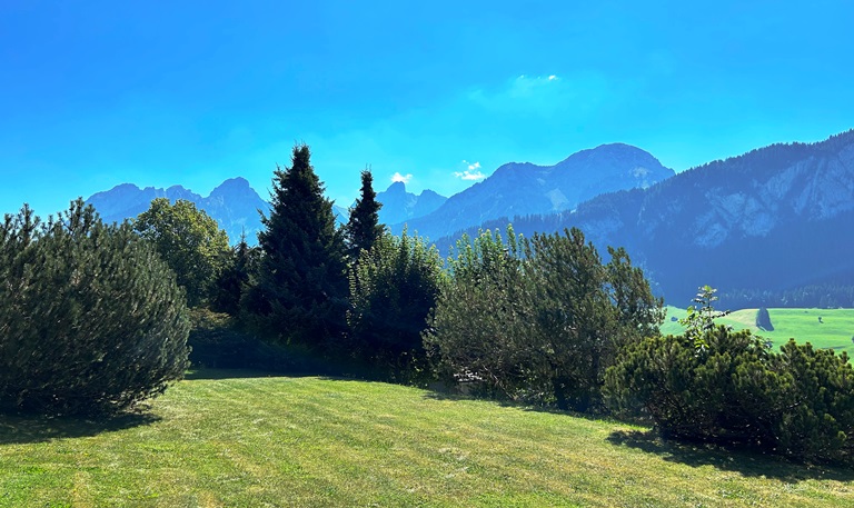 Bergblick über Wiese und Bäume