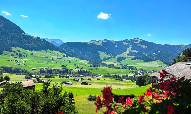 Alpenpanorama mit Tal und Wiesen