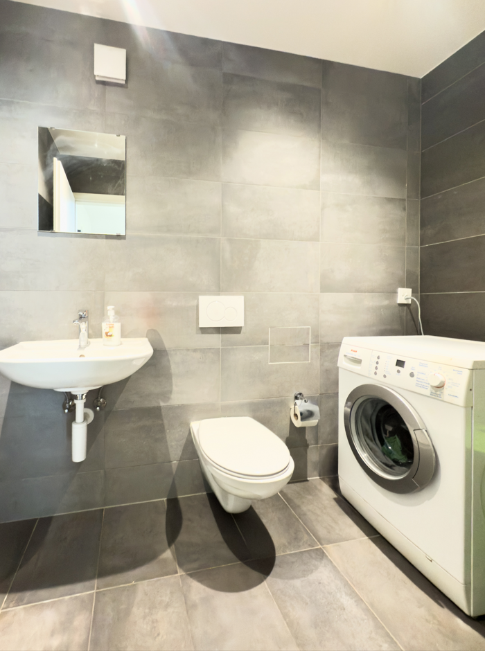 Modernes Badezimmer mit WC, Waschbecken und Waschmaschine