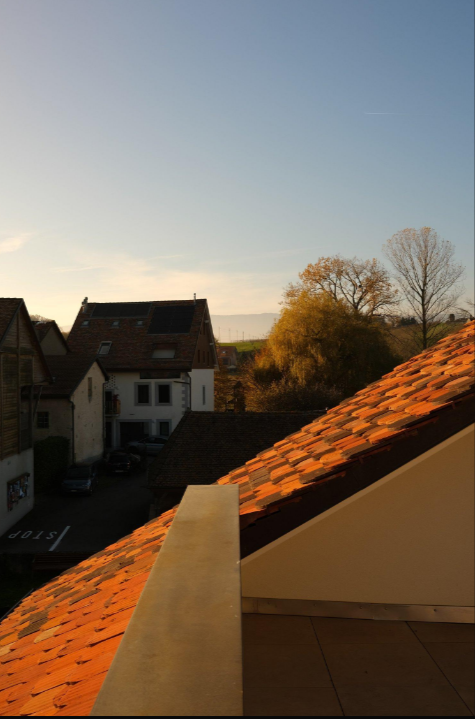 Dachblick über Wohnhäuser bei tiefstehender Sonne