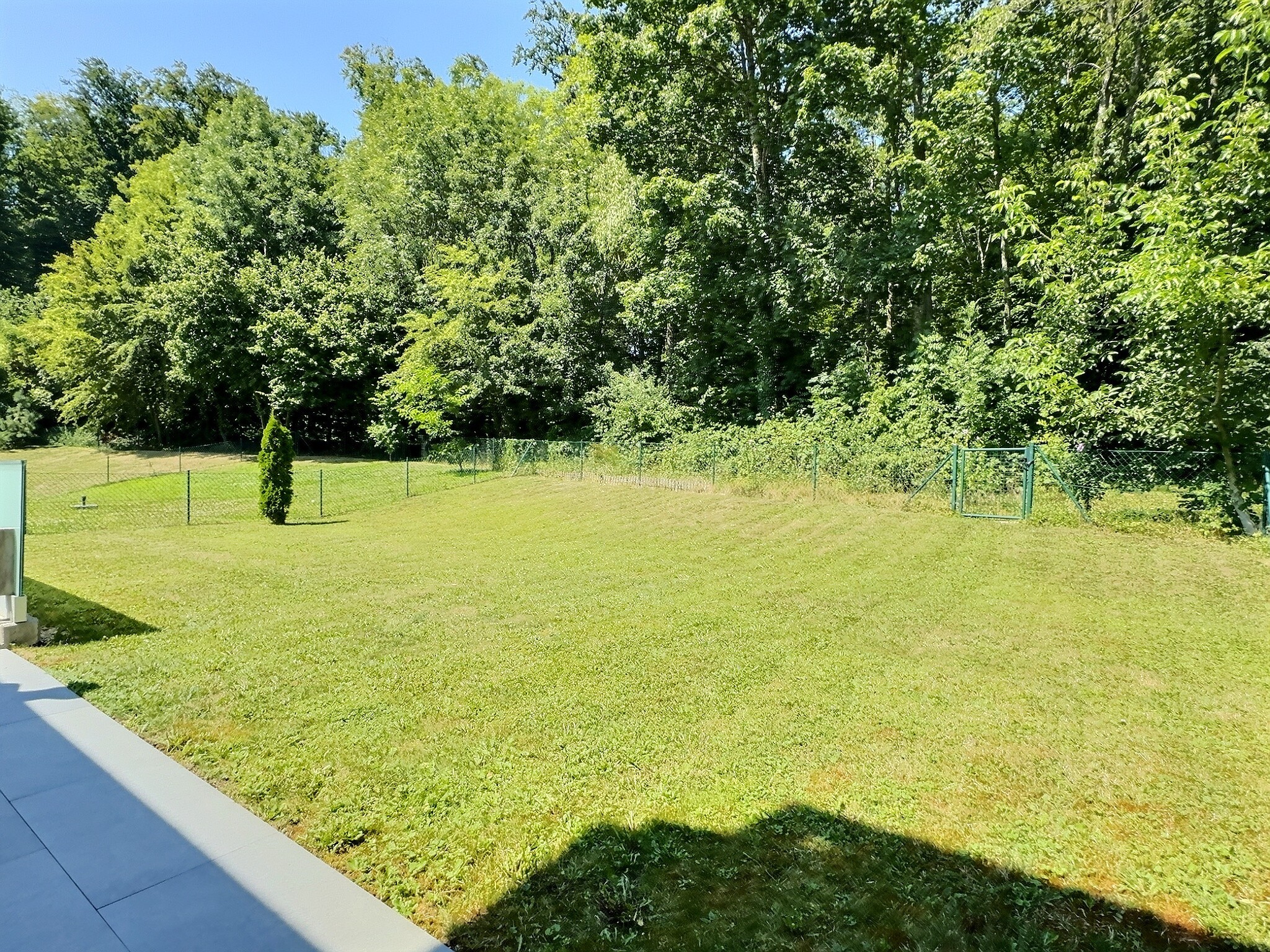 Großer grüner Garten mit Wiese und Waldgrenze