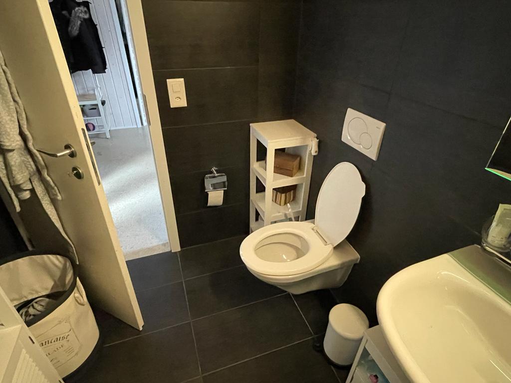 Modernes Gäste-WC mit dunklen Fliesen
