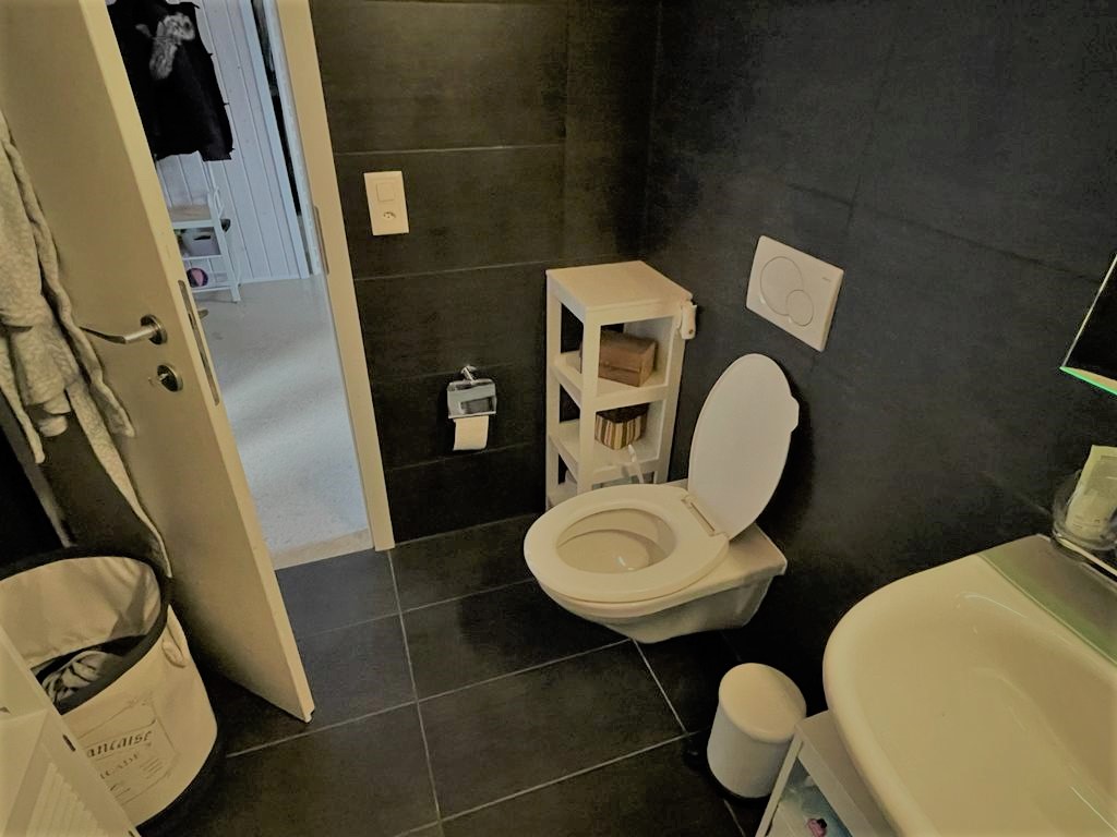 Modernes Gäste-WC mit dunklen Fliesen