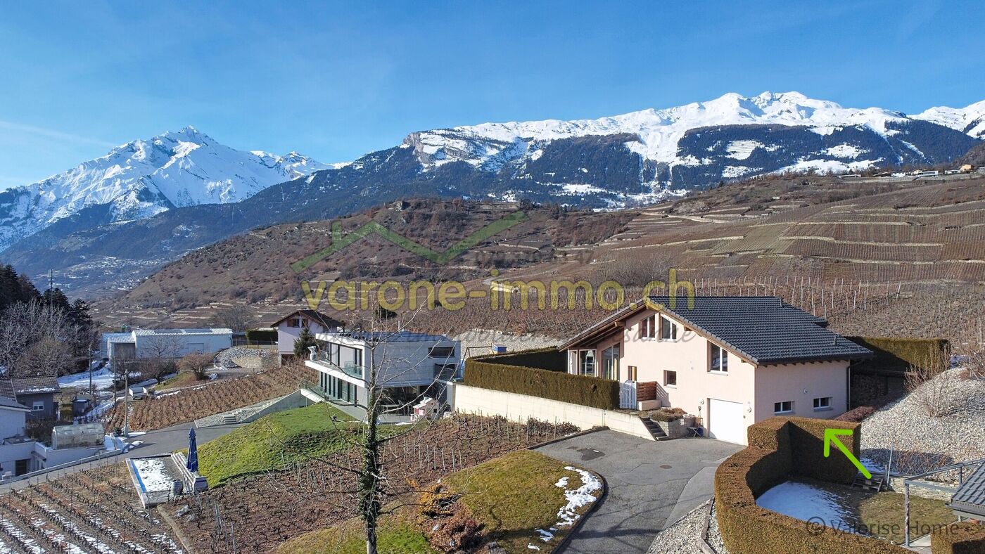 Berglandschaft mit Wohnhäusern und Weinbergen